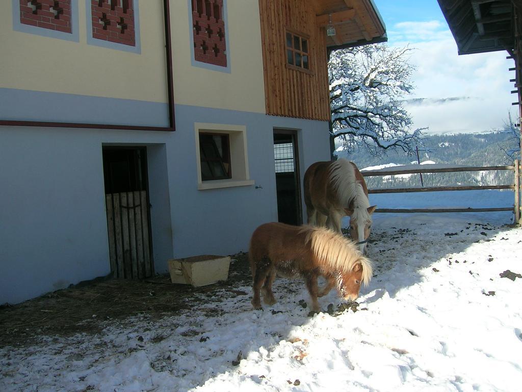 Kollerhof Daire Schlanitzen Dış mekan fotoğraf