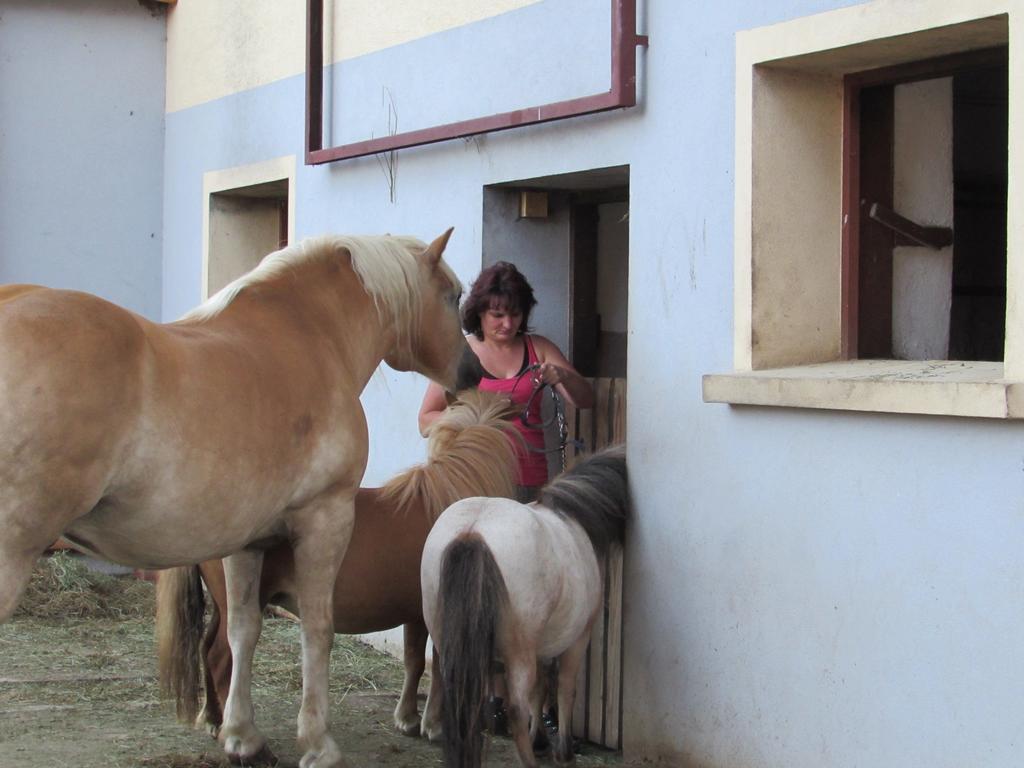 Kollerhof Daire Schlanitzen Dış mekan fotoğraf