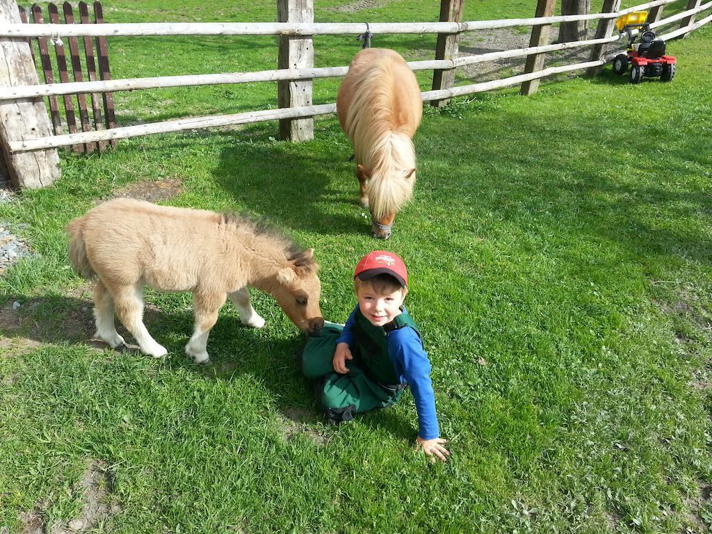 Kollerhof Daire Schlanitzen Dış mekan fotoğraf