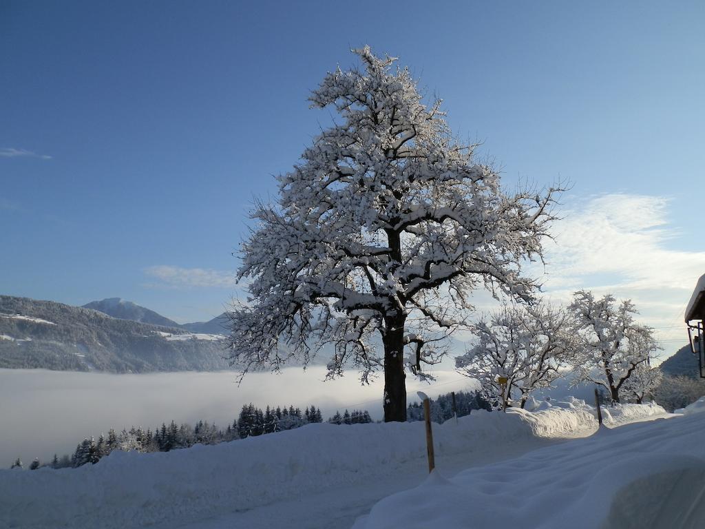 Kollerhof Daire Schlanitzen Dış mekan fotoğraf